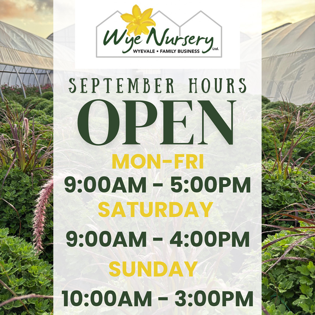 Monday 9am-5pm Tuesday 9am-5pm Wednesday 9am-5pm Thursday 9am-5pm Friday 9am-5pm Saturday 9am-4pm Sunday 10am-3pm